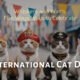 Whiskers and Wirth: Fun Ways to Celebrate International Cat Day